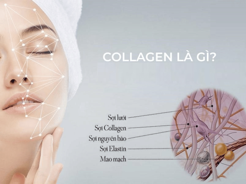 collagen có tác dụng gì